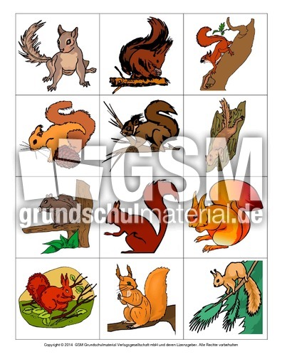 Eichhörnchen-Memo-Aufdeckspiel-2.pdf